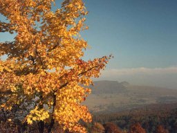 herbstlaub_blick_ins_tal_20110604_1306267980