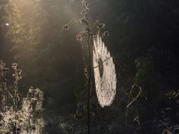 spinn_20130606_1466120533